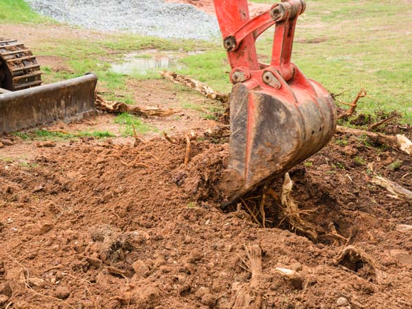 tree stump removals perth